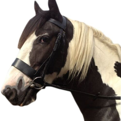 Black Leather - Working Hunter Bridle -  2 Inch Nose band