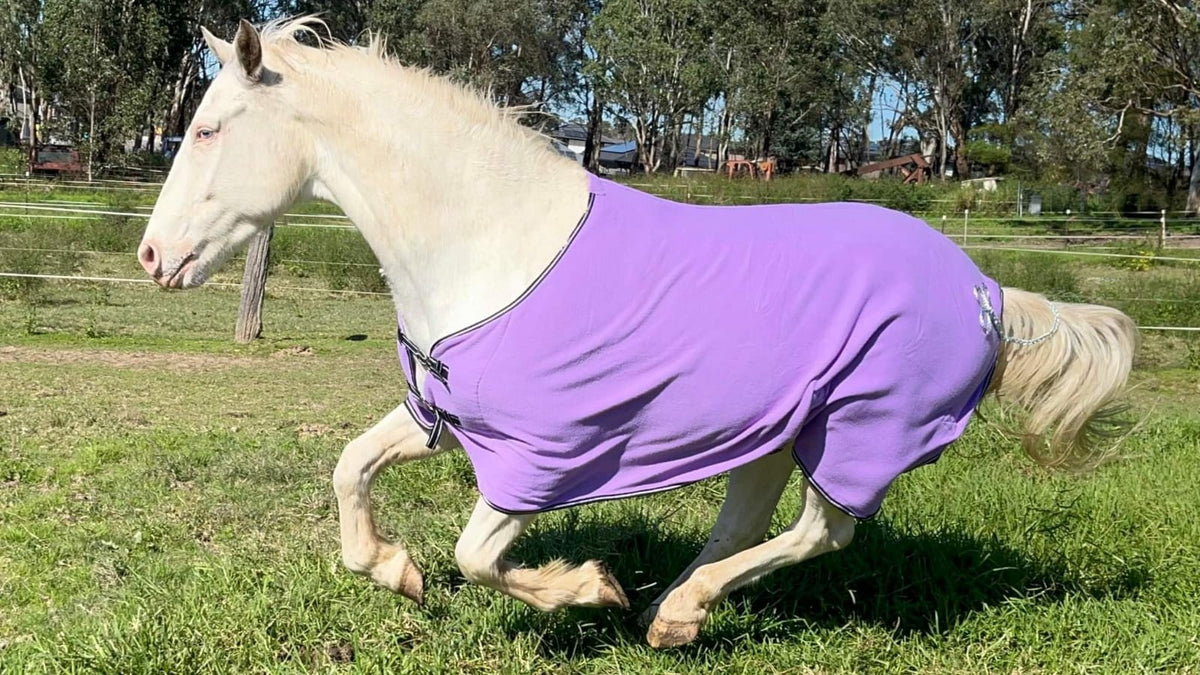 Designer Vibrant Colours Anti pilling Polar fleece Horse Rug Payless