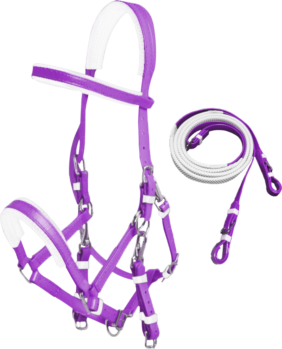 Henri de Rivel Pro Mono Crown Raised Figure 8 Bridle with Rubber Reins - Australian Nut - Horse Henri de Rivel Pro Mono Crown Raised Figure 8 Bridle with Rubber Reins - Australian Nut - Horse