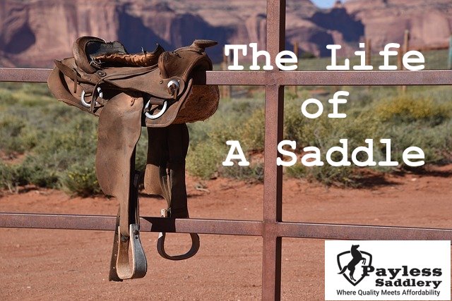 The Life of a Saddle