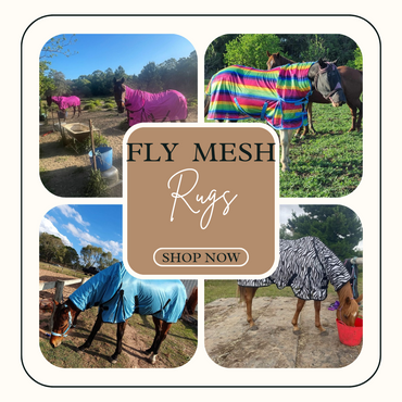 Fly Mesh Insect protector Rug Combo