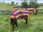 Full Protection - Fly Mesh Insect protector Rug With Belly Flap and Matching Fly mask - Zebra Pattern and Rainbow