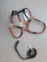 Tan Leather - Webbing Halter and lead set
