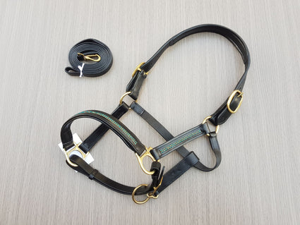 Blue-Gold  accent - Leather halter with lead