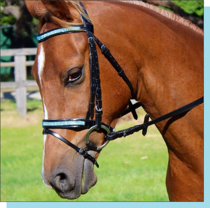 Blue Crystal Leather Bridle With Webb / Leather Reins