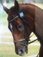 Gold Crystal Leather Bridle