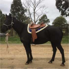 Half Breed-Swinging Fender saddle  - Western and Stock alternative