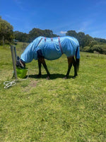 Eczema Rug- Sweet Itch Eczema Fly Rug- For optimal UV / Midge Insect / Queensland Itch Protection