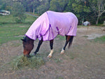 Purple ( lavender) Fly Mesh Insect protector Rug Combo