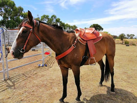Wide Gullet- LONDON TAN-Leather-Half Breed-Swinging Fender Saddle