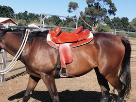Medium Gullet- LONDON TAN-Leather-Half Breed-Swinging Fender Saddle