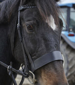 Plaited Black Leather - Working Hunter Bridle -  2 Inch Nose band / Plaited Reins