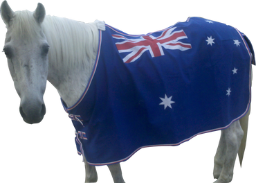 Australian Flag  Cotton Canvas Rug