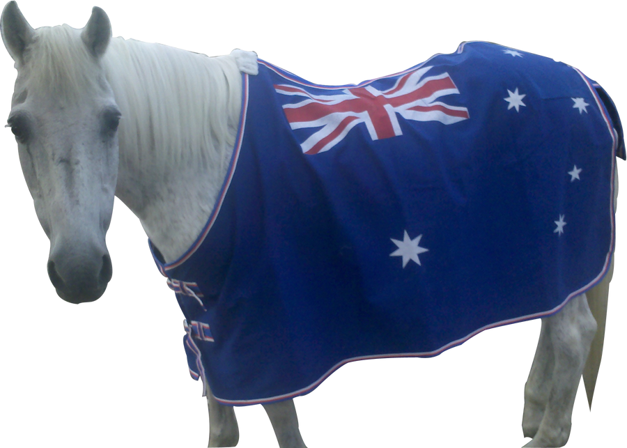 Australian Flag  Cotton Canvas Rug