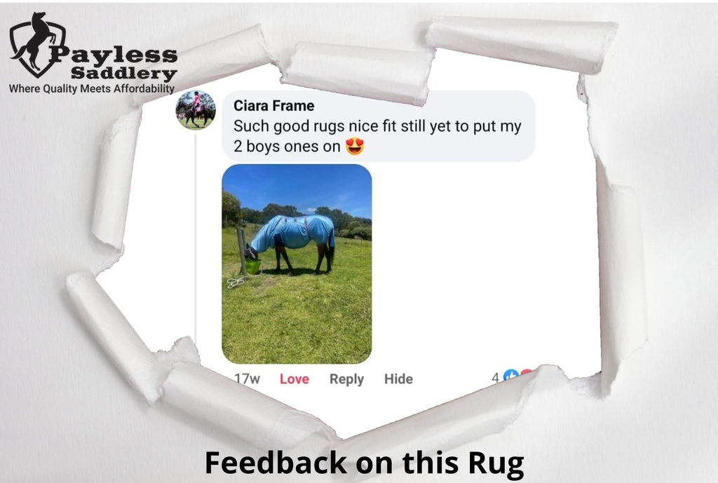 Eczema Rug Sweet Itch Eczema Fly Rug For optimal UV / Midge Insect