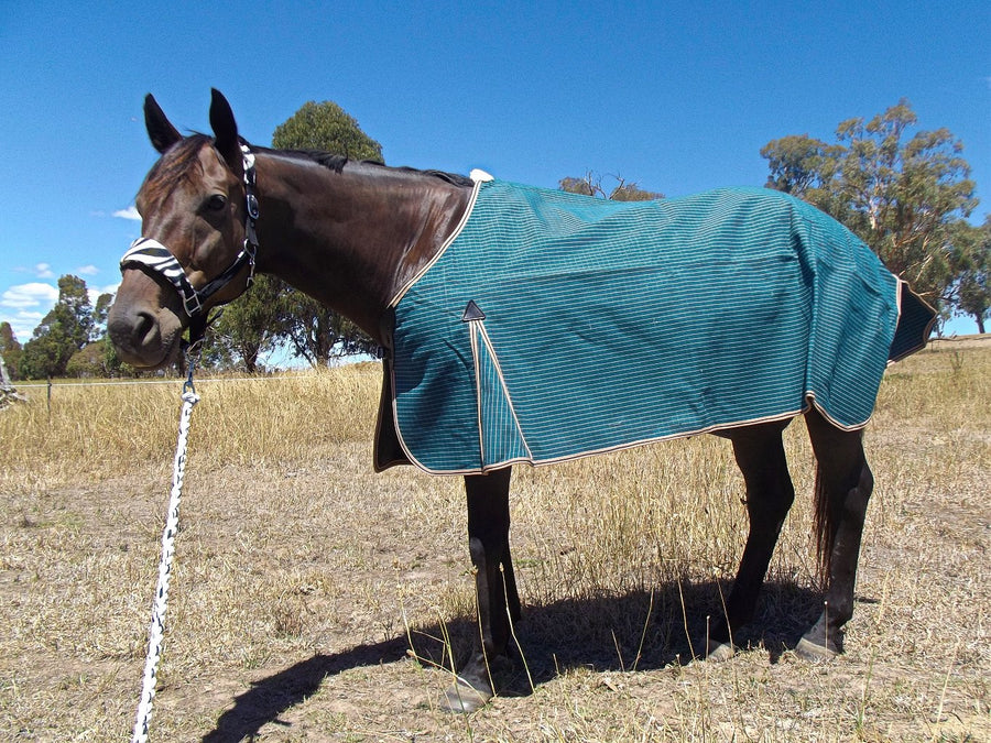 Unlined Green Canvas Rug