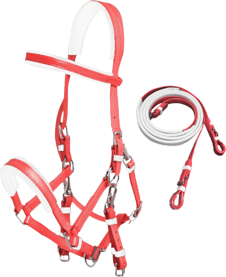 White Red PVC Marathon Bridle with Rubberised Piimple Grip Reins