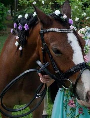 Smile Crystal Leather Bridle With Webb and  Leather Reins